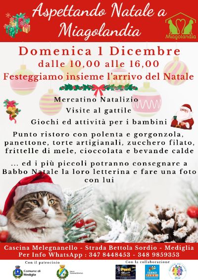 Aspettando Natale a Miagolandia