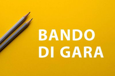 bando-di-gara-original_webp