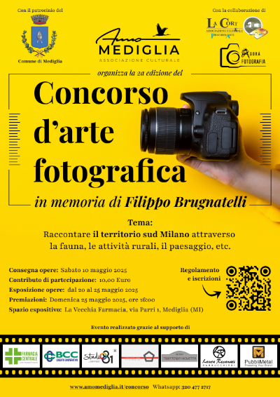 Locandina Concorso Brugnatelli