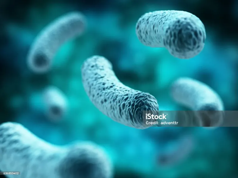 istockphoto-636855402-2048x2048