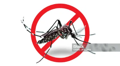 istockphoto-1327212955-2048x2048