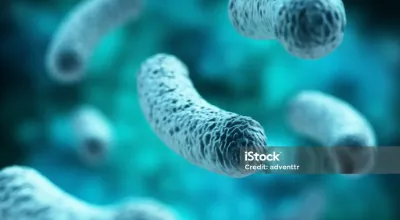 istockphoto-636855402-2048x2048